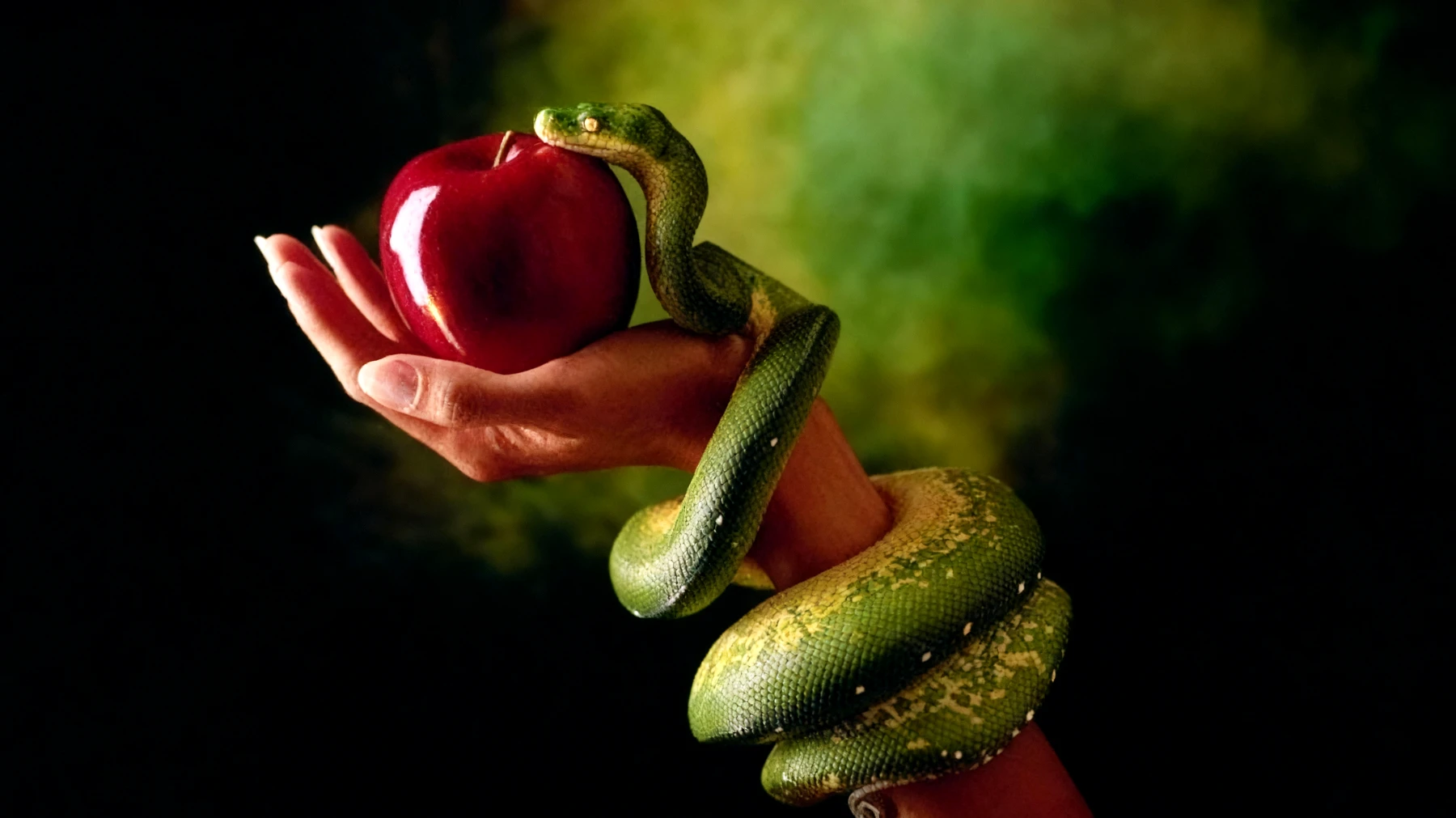 Forbidden Fruit2025-12-19T10:47:24.368Z"