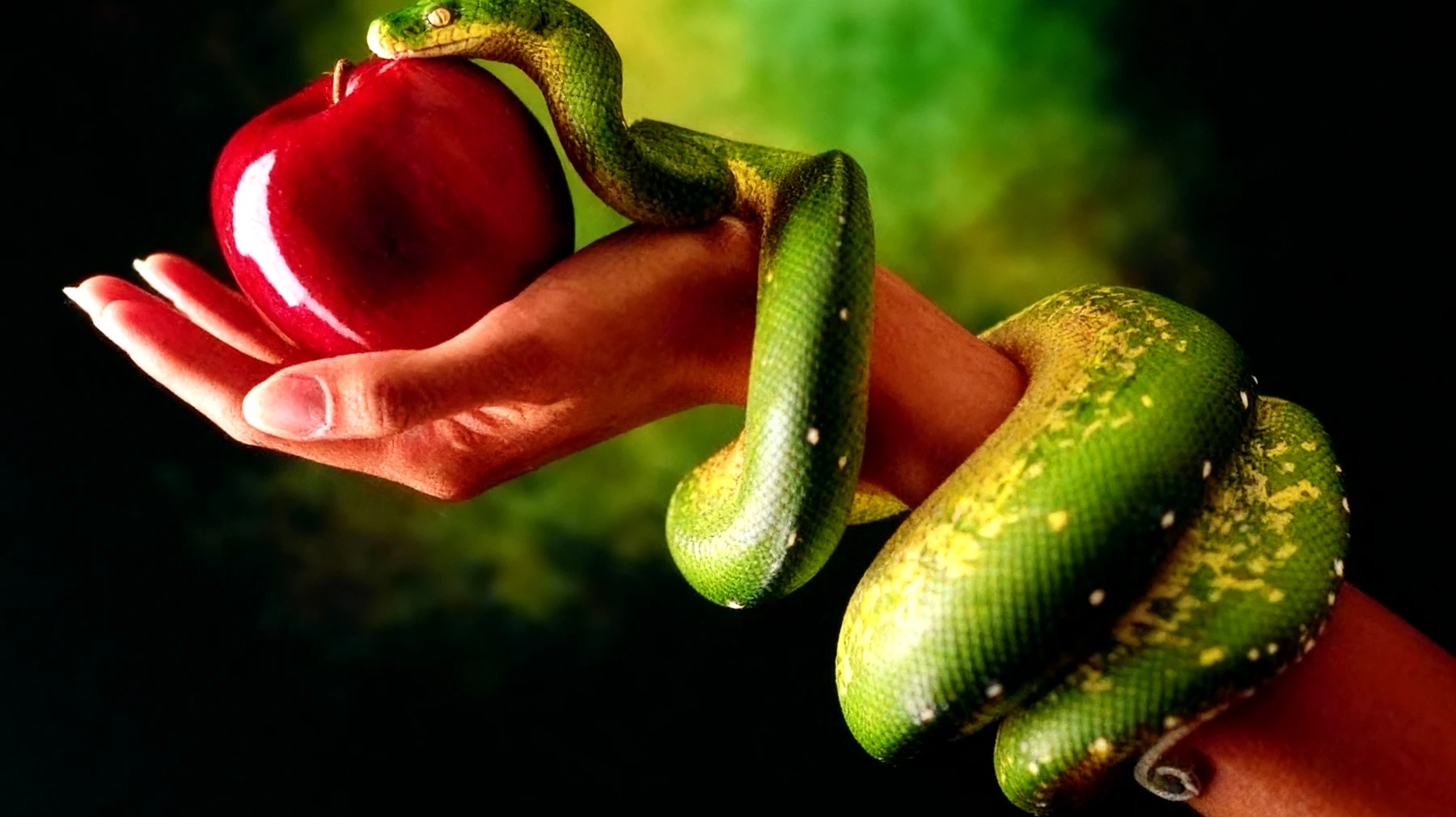 Forbidden Fruit2025-12-30T10:50:07.183Z"