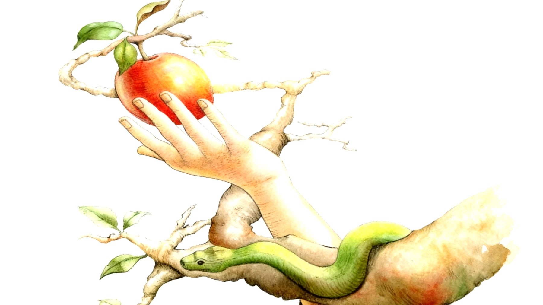 Forbidden Fruit2026-01-03T10:50:47.367Z"