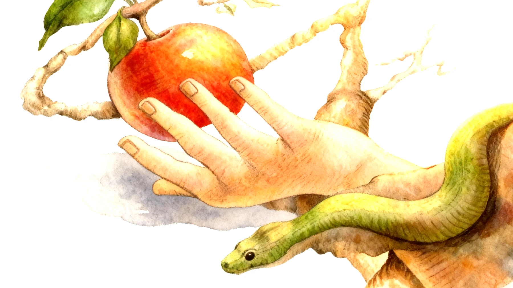 Forbidden Fruit2026-01-04T10:57:46.802Z"