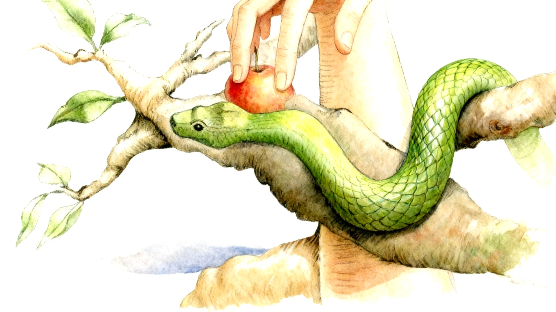 Forbidden Fruit2026-01-12T10:55:44.151Z"