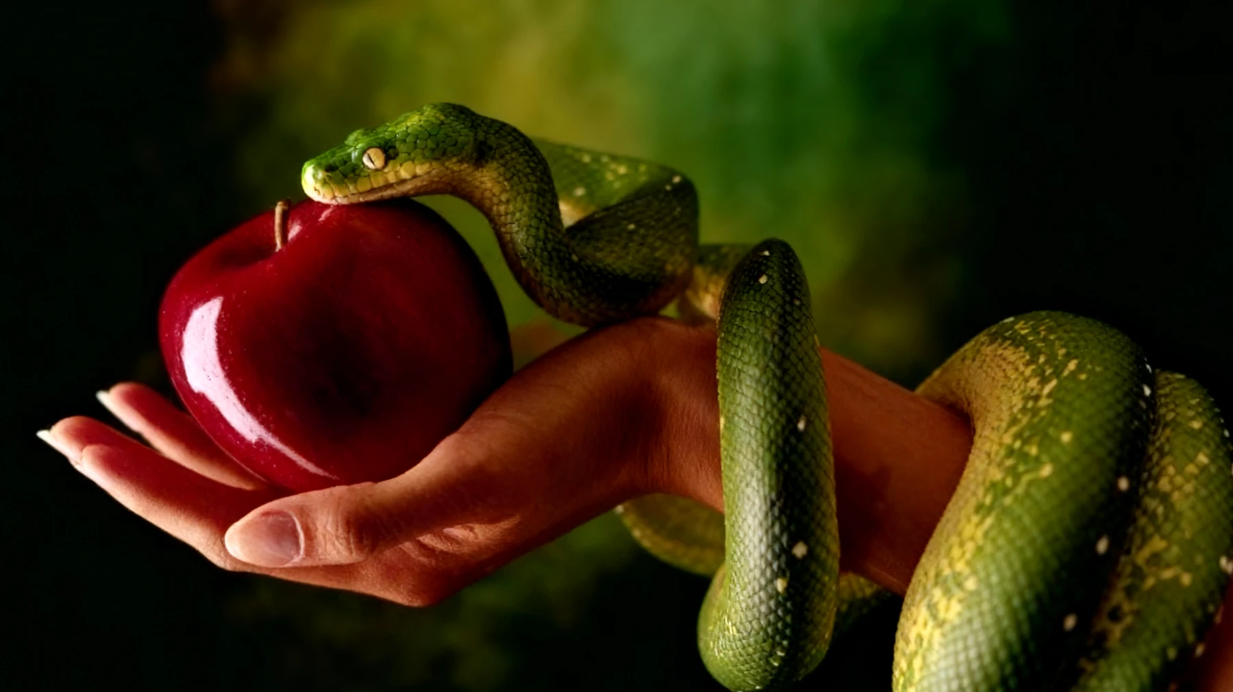 Forbidden Fruit2026-01-16T10:50:52.487Z"